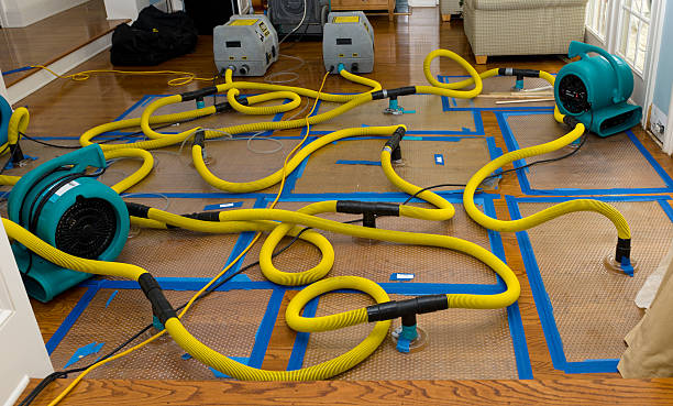 Professional Flood Damage Restoration technician working in Lynn, AL